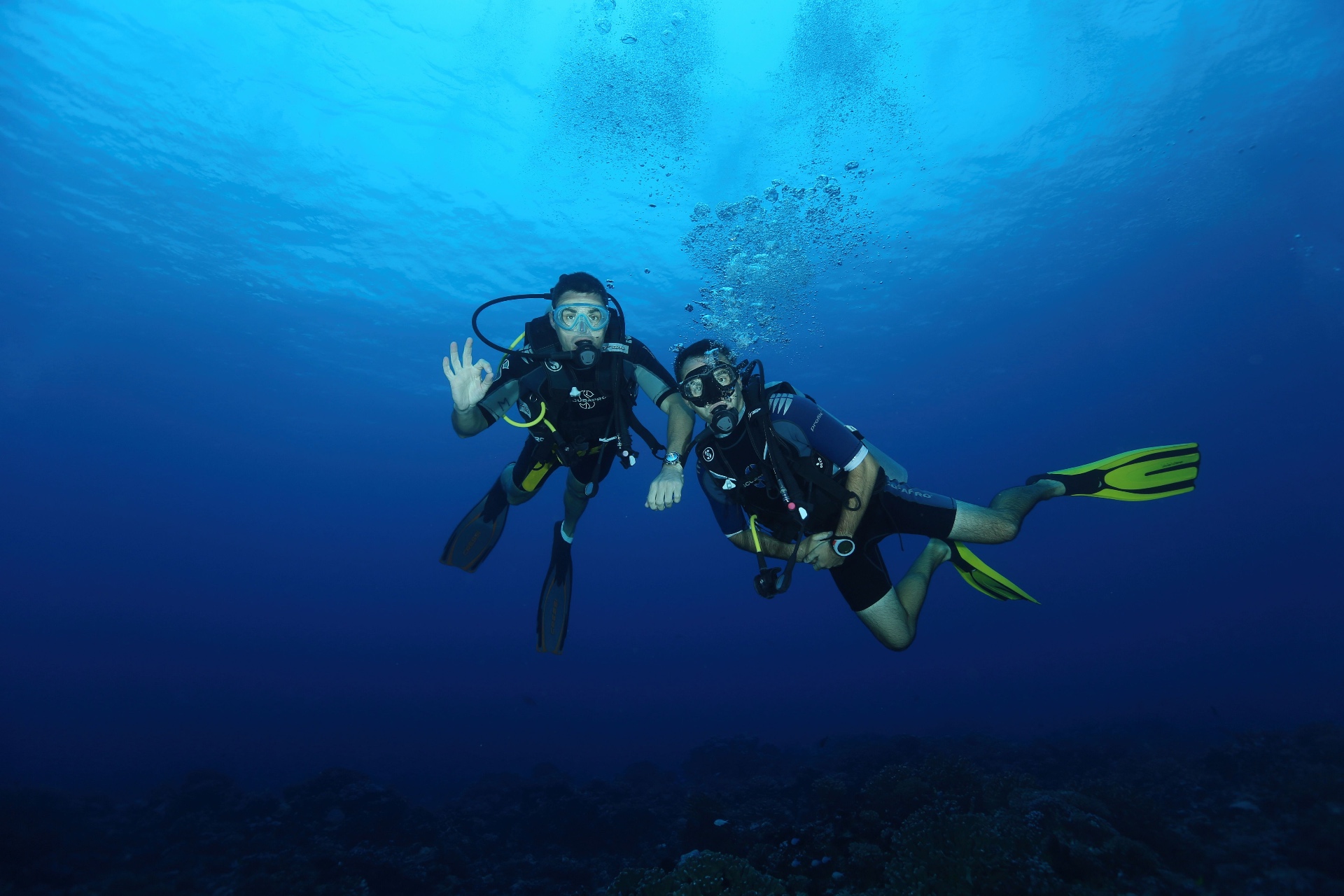 Scuba divers exploring a coral reef on a guided tour