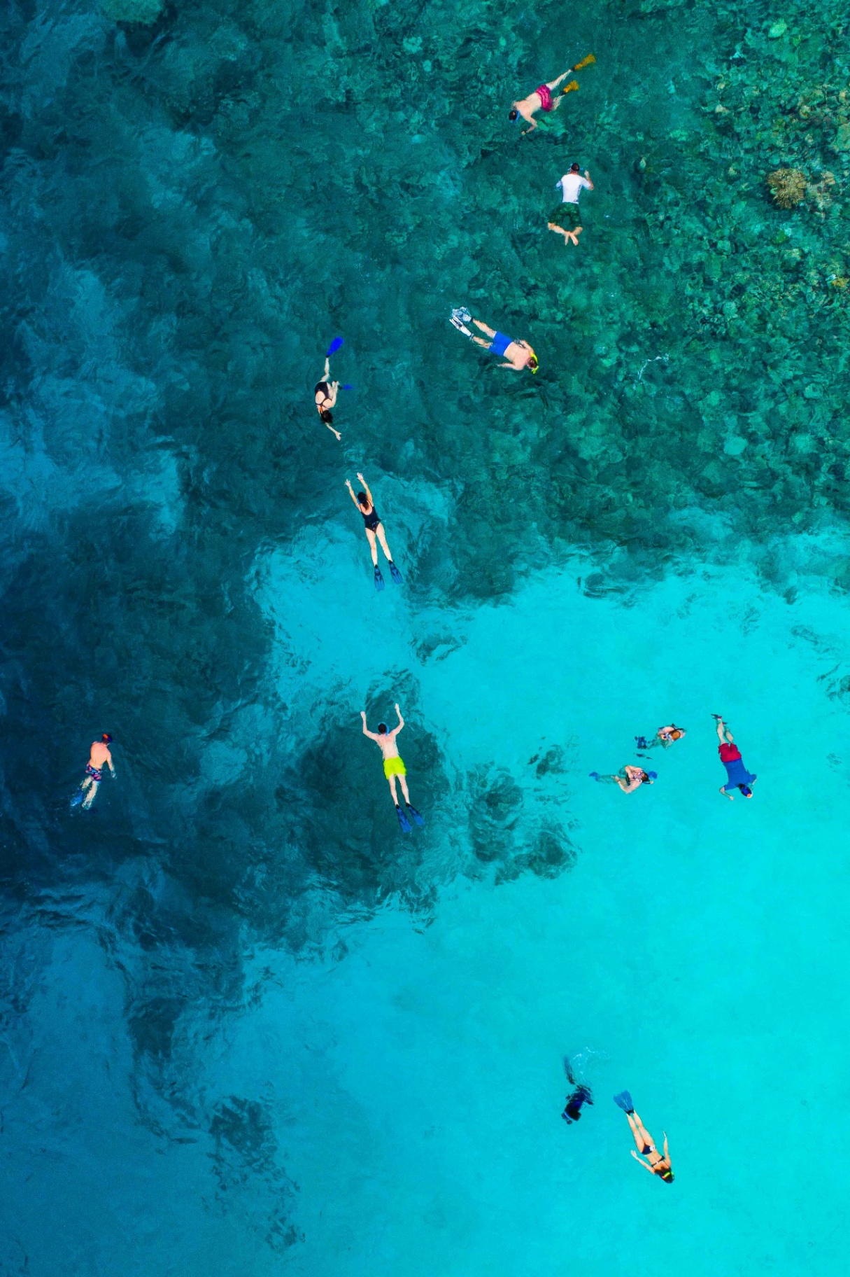 Snorkelers swimming above a colorful reef
